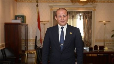 عمرو القطامي: مصر تقوم بدور تاريخي لوقف العدوان على غزة