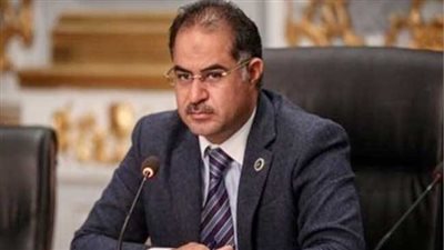 سليمان وهدان: مصر حريصة على استقرار المنطقة 