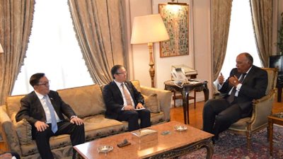 وزير الخارجية المصري يستقبل نائب وزير خارجية كازخستان