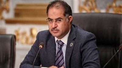 برلماني مصري: العدوان الاسرائيلي علي قطاع غزة انتهاك واضح لحقوق الإنسان 