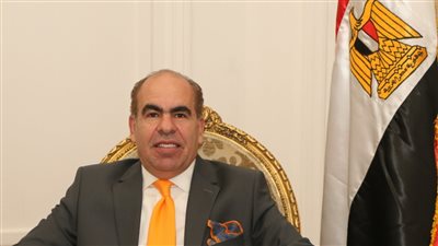 ياسر الهضيبي: مصر لعبت دورا مركزيا في وقف نزيف الدم في قطاع غزة 