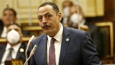 أشرف أمين: مصر تصدرت بمفردها للقضية الفلسطينية.. وعلى المجتمع الدولي التحرك