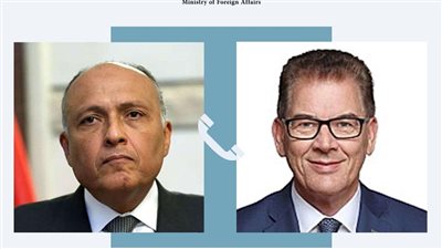 وزير الخارجية المصري يتلقى اتصالًا من المدير العام لمنظمة الأمم المتحدة للتنمية الصناعية 