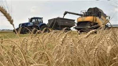 في ظل الحرب.. إسبانيا تطلق مشروعا تجريبيا لاستيراد الحبوب من أوكرانيا 