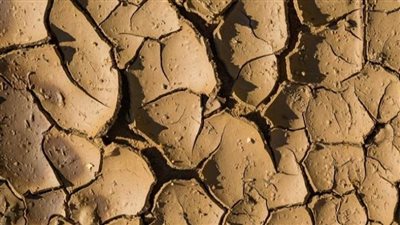 رسميًا.. بريطانيا تعلن حالة الجفاف في في أجزاء من البلاد