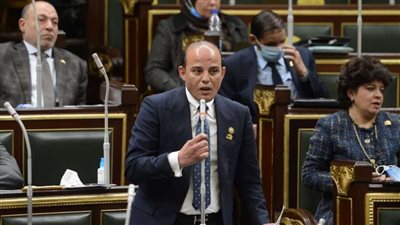 مصر.. إشادة برلمانية بسرعة تعامل الدولة مع حادث حريق كنيسة المنيرة