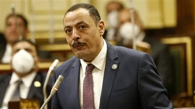 مصر.. برلماني يطالب بسرعة صرف التعويضات لأسر ضحاية الكنيسة