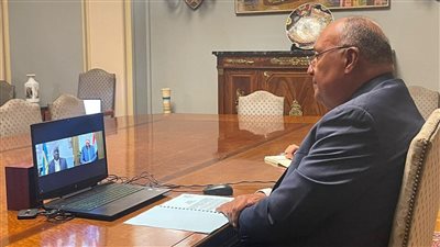 للتحضير لقمة المناخ.. وزير الخارجية المصري يعقد اتصالًا مرئيًا مع رئيس وزراء البهاما