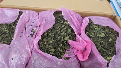 إحباط تهريب 45 كجم من مخدر القات في مطار القاهرة