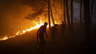 المغرب.. مقتل 3 عمال إطفاء خلال محاولة إخماد حريق في تطوان