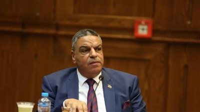 مصر.. عضو بالشيوخ يُشيد بقرارات الإفراج عن المحبوسين 