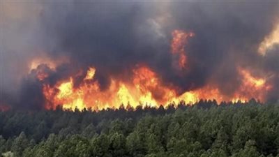الجزائر.. 26 قتيلا جراء اندلاع حرائق في عدة ولايات
