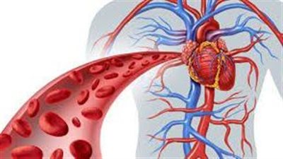  علامات تشير إلى مشكلات في الدورة الدموية