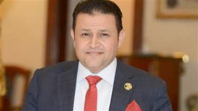شحاته أبو زيد: تعميق التصنيع المحلي يعزز من قدرة الاقتصاد على مواجهة التحديات الراهنة