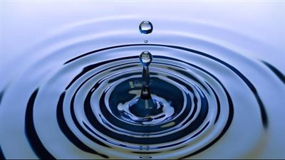 مصر.. مطالب بزيادة أبحاث الابتكار في الأصناف النباتية الموفرة للمياه 