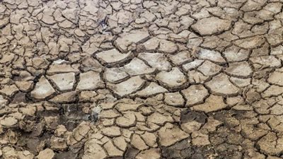 الأمم المتحدة: تخصيص 10 ملايين دولار لمواجهة الجفاف بالصومال