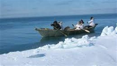 الفرع الروسي في مؤسسة البيئة البرية العالمية يقر قواعد رصد حيتان غرينلند