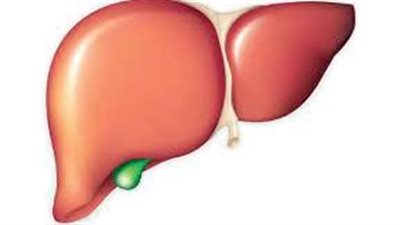 المجموعات الغذائية المهمة بشكل خاص للكبد