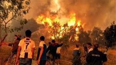 حصيلة الحرائق التي اجتاحت مناطق حرجية وحضرية في شمال شرق الجزائر 