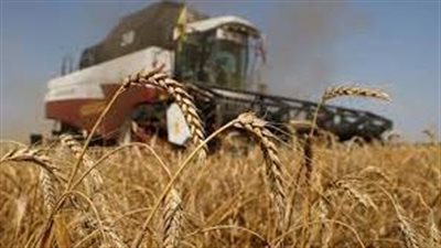 في ظل الحرب.. تراجع صادرات السلع الزراعية الرئيسية في أوكرانيا بشكل غير مسبوق