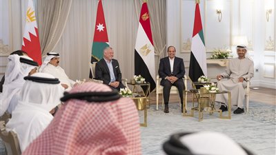 رئيس الإمارات: ماضون نحو التنسيق الفاعل مع الأشقاء بالمنطقة