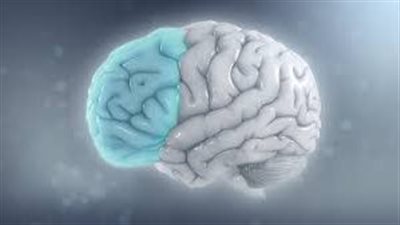 الكشف عوامل فرط الحركة لدى الأطفال