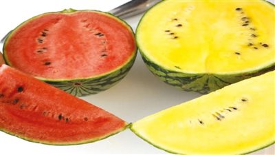 خبيرة تغذية: من الصعب اختيار الأنفع بين البطيخ الأحمر والبطيخ الأصفر
