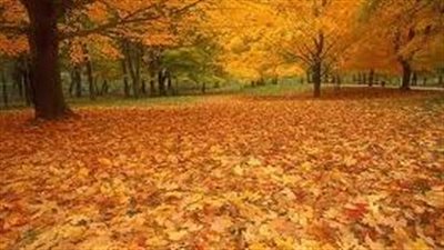  كيف يمكن تجنب كآبة الخريف والمشكلات المرتبطة بها؟