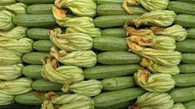 خبيرة تغذية: الكوسا خطرة في حالة الإصابة بأمراض الكلى والتهاب البنكرياس