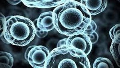 معلومات جديدة بشأن فيروس نقص المناعة البشرية “HIV”