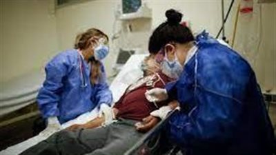 مفاجأة..علماء يخططون لزراعة كلى خنازير في مرضى متوفين 