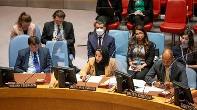 الإمارات تجدد موقفها الرافض بشأن التدخلات الأجنبية في سوريا