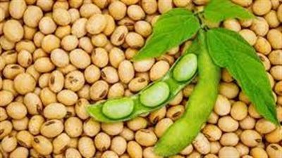  دراسة جديدة تكشف أهمية تناول نظام غذائي غني بمنتجات الصويا 