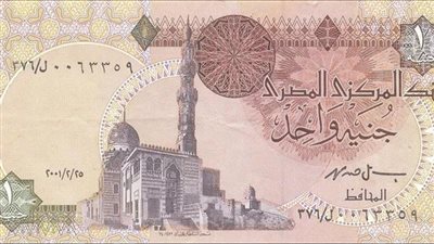 مصر.. دعم المستوردين على رأس أولويات القطاع المصرفي 