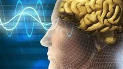 أخصائية: مشكلات الذاكرة قد تشير إلى الاكتئاب وورم في الدماغ