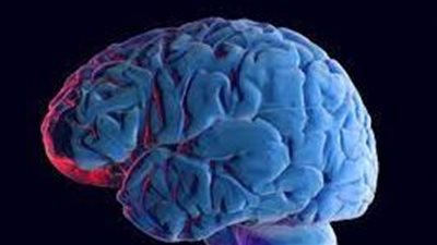  اكتشاف مهم يوضح طريقة تعامل مخ الانسان مع حاستي السمع واللمس