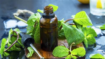 علاج الإمساك بالنعناع.. يحقق فوائد لمرضى الجهاز الهضمي باستثناء هذه الفئة