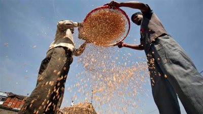 رغم تراجع الأسعار.. الفاو: القلق حول الأمن الغذائي مستمر