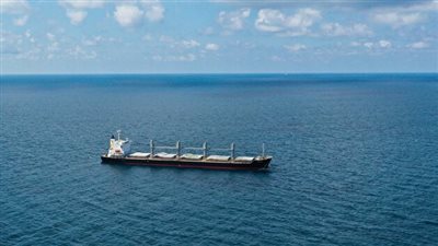  لفترة وجيزة... تعطل محرك سفينة متجهة إلى كييف لنقل حبوب في البوسفور