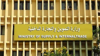 الهيئة العامة للسلع التموينية في مصر تطرح ممارسة دولية لشراء زيوت نباتية