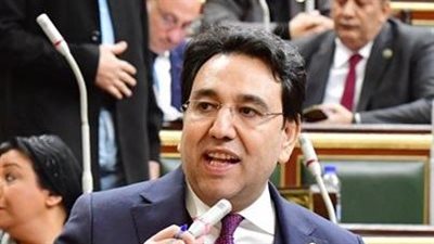مصر.. مطالب برلمانية بإطلاق حملة 