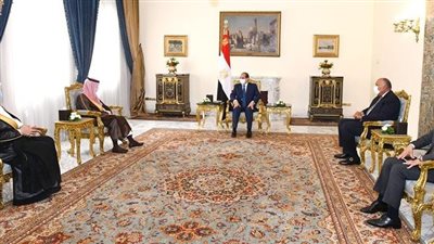 مصر.. إشادة من عضو بالشيوخ بمباحثات السيسي مع وزير الخارجية السعودي 