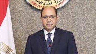 وزير الخارجية المصري يصدر قرارًا بتعيين أحمد أبو زيد متحدثًا رسميًا باسم الخارجية 