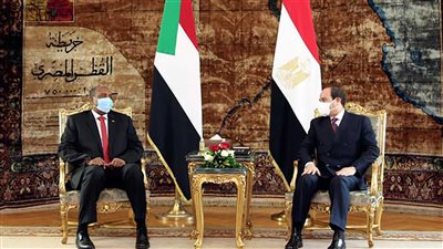 مصر.. عضو بالشيوخ يُشيد تسيير جسر بري من المساعدات الإنسانية والطبية للسودان 