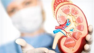 معدل الإصابة بالفشل الكلوي يشهد ارتفاعا مطّردا في جميع أنحاء العالم