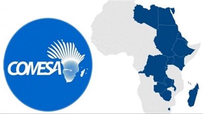 أسامة الشاهد: نمو الصادرات المصرية 35% لدول الكوميسا يعكس فرصا كبيرة في إفريقيا