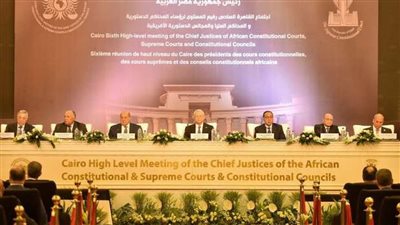 برلماني مصري: اجتماع رؤساء المحاكم العليا الأفريقية يعزز التعاون القضائي بين دول القارة