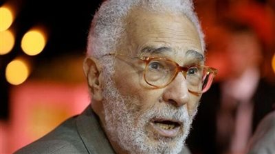  الفنان المصري 