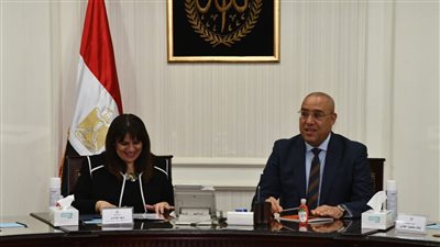 دينا هلالي: إطلاق فرص استثمارية للمصريين بالخارج يدعم الاقتصاد الوطني