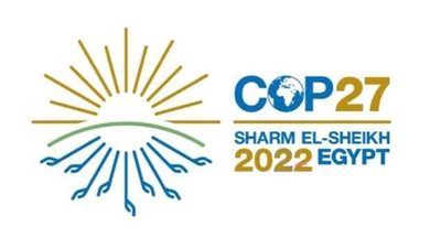 برلماني مصري: مؤتمر cop27 فرصة كبيرة لتعزيز العمل المناخى الدولي 